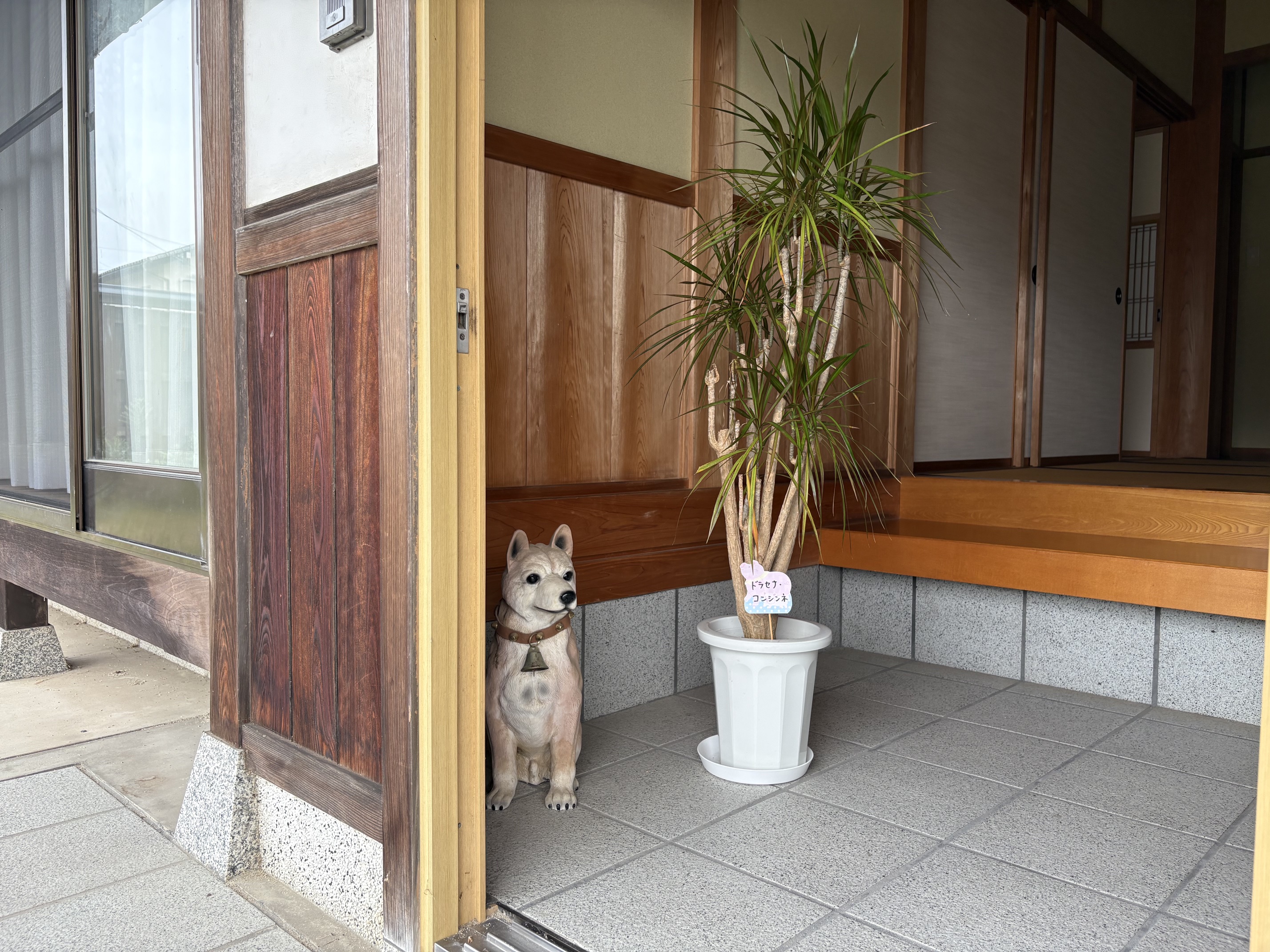 お客様の声と体験談